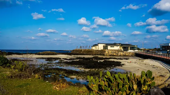 細花海水浴場