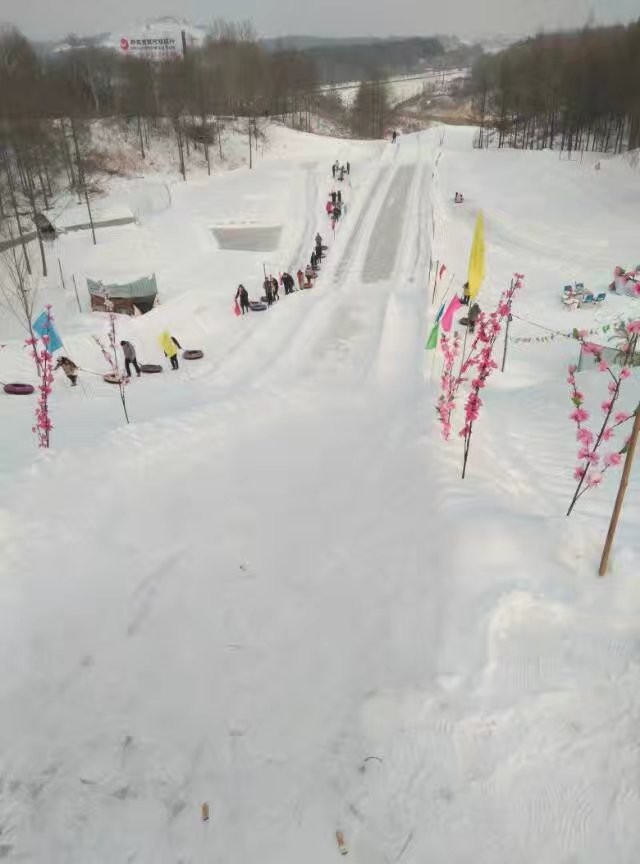 滑雪🎿