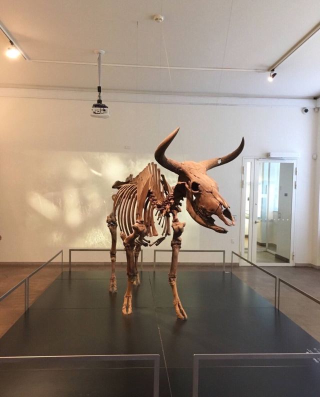 National Museum of Denmark