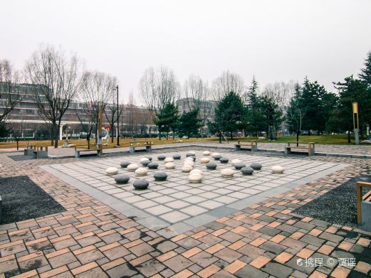 唐城墙遗址公园