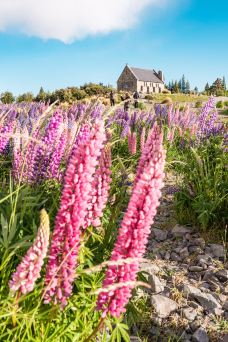 好牧羊人教堂-特卡波湖-doris圈圈
