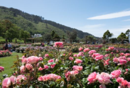 哈夫洛克北旅游图片-惠灵顿经典一日游
