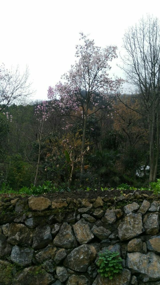 九皇山猿王洞