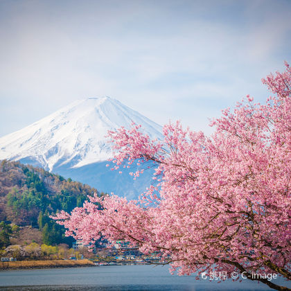 日本富士山+箱根大涌谷二日游