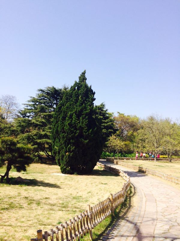 中山公園
