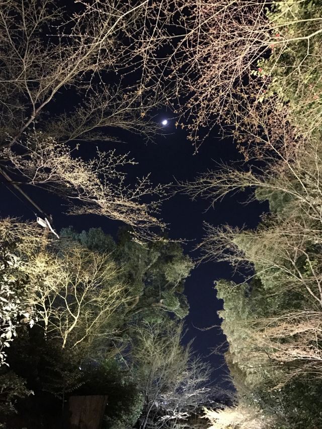 高台寺