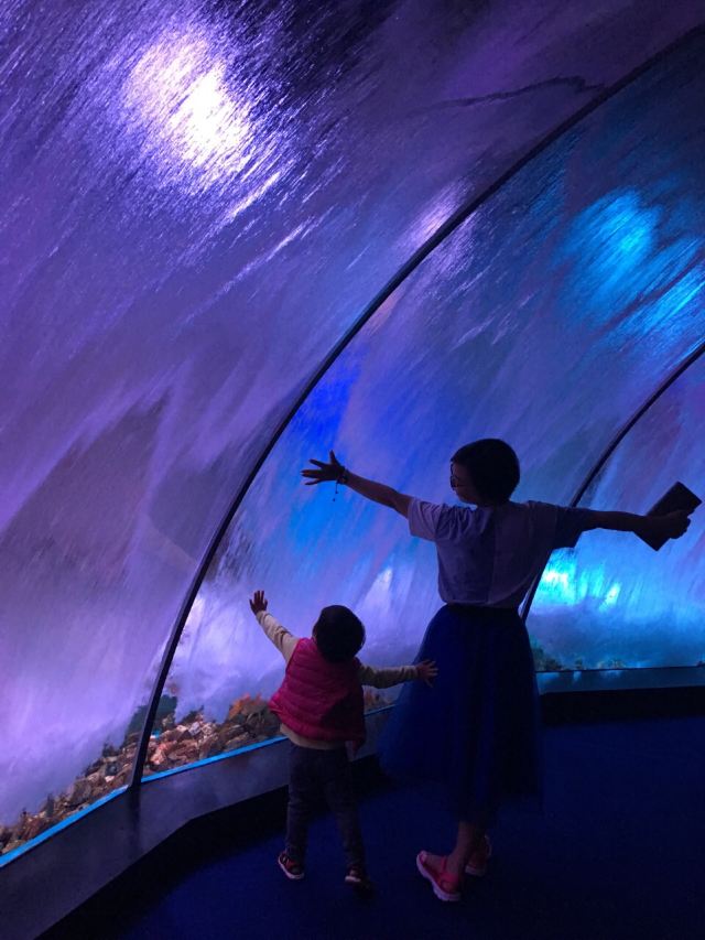 Grandview Aquarium