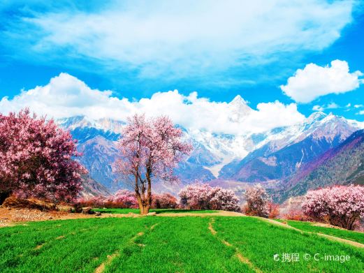 南迦巴瓦峰