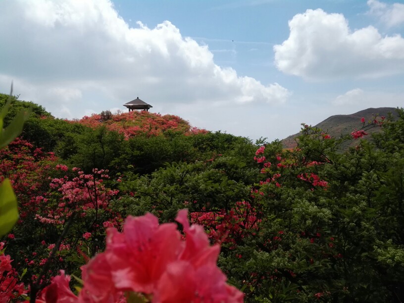 长沙-浏阳大围山映山红之旅（非自驾）