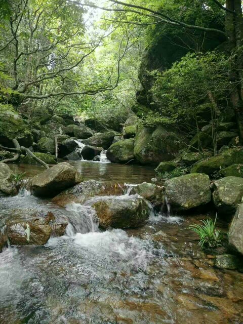 梦里老家·项山聪坑