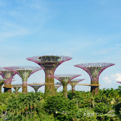 新加坡植物园+新加坡国家美术馆+滨海艺术中心+东海岸公园+马里安曼兴都庙一日游