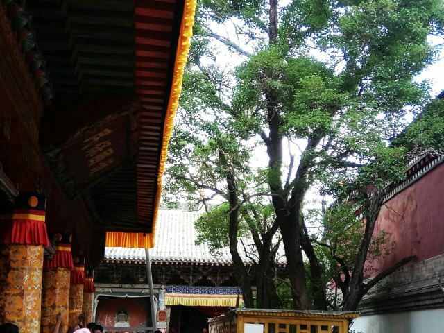 Kumbum Monastery