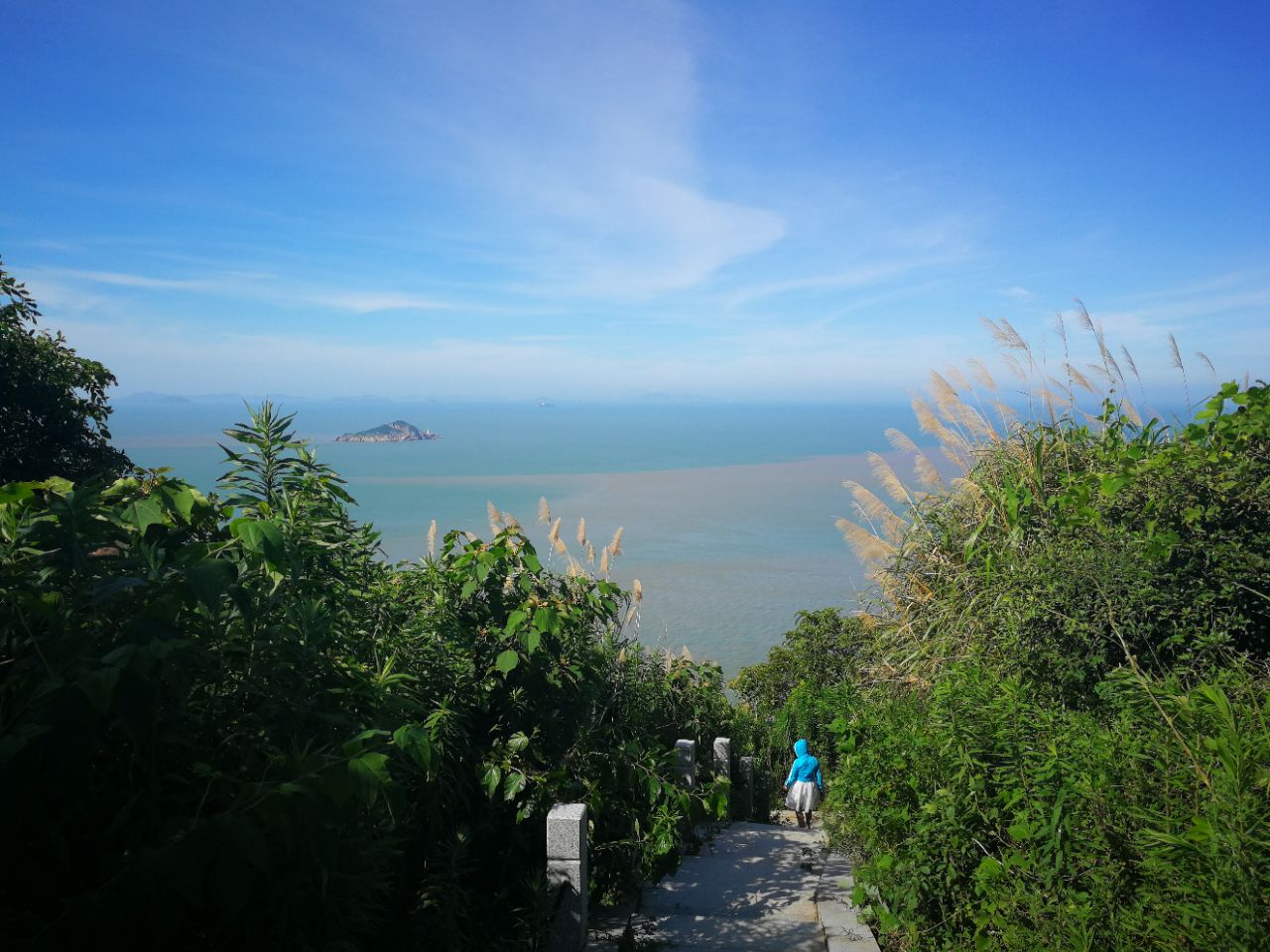 麦仓山海鸥岛