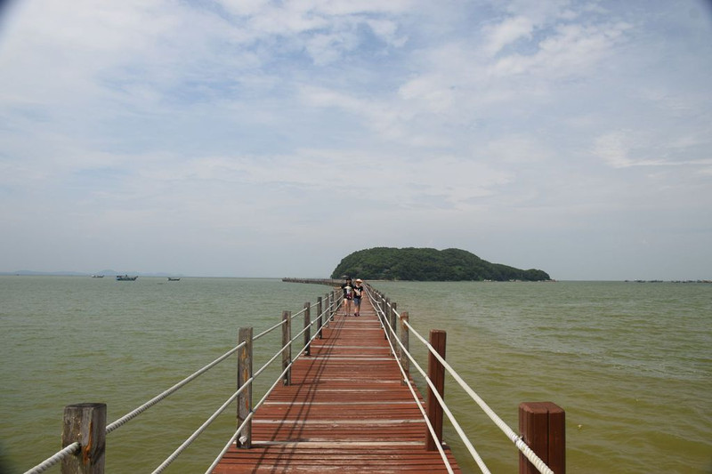 海陵岛国家红树林湿地公园位于岛东北面的神前湾.沿着导航规划的路线