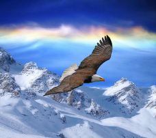 黑山谷风景区-重庆-YoYo_8G5L5S6V