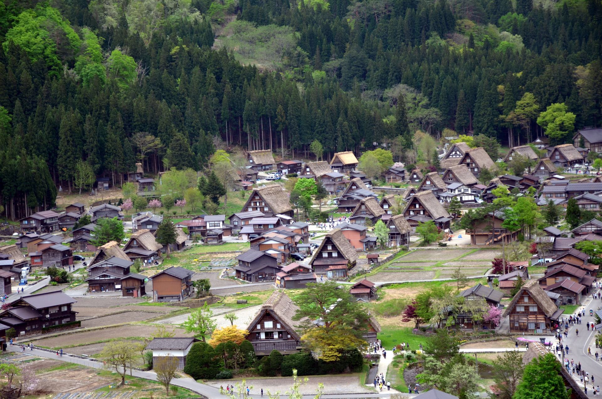 白川乡合掌屋，圆你一个童话梦