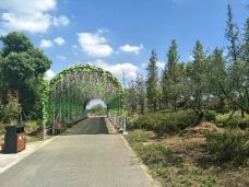 仙山湖风景区-长兴-YoYo_8B8Q1K6F