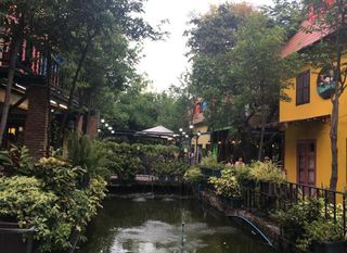 MIMOSA，芭提雅的爱情小镇——泰国六日游之第3天（3）