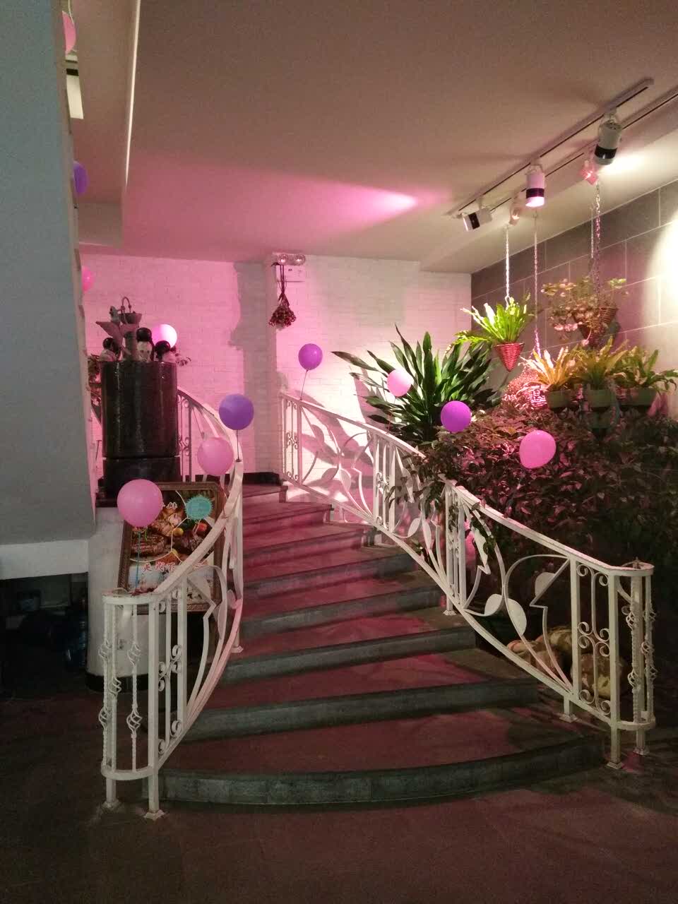 Gallery 4