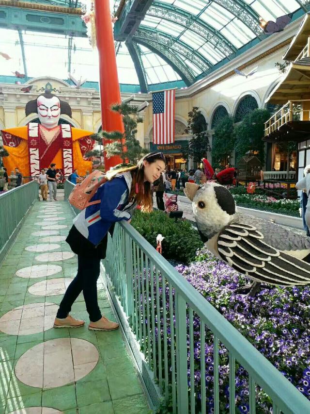 Fountains of Bellagio