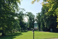 Krupp Florist购物图片