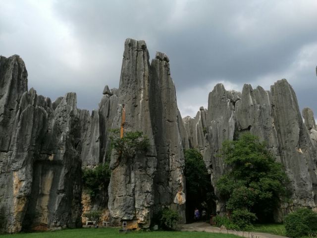 Stone Forest