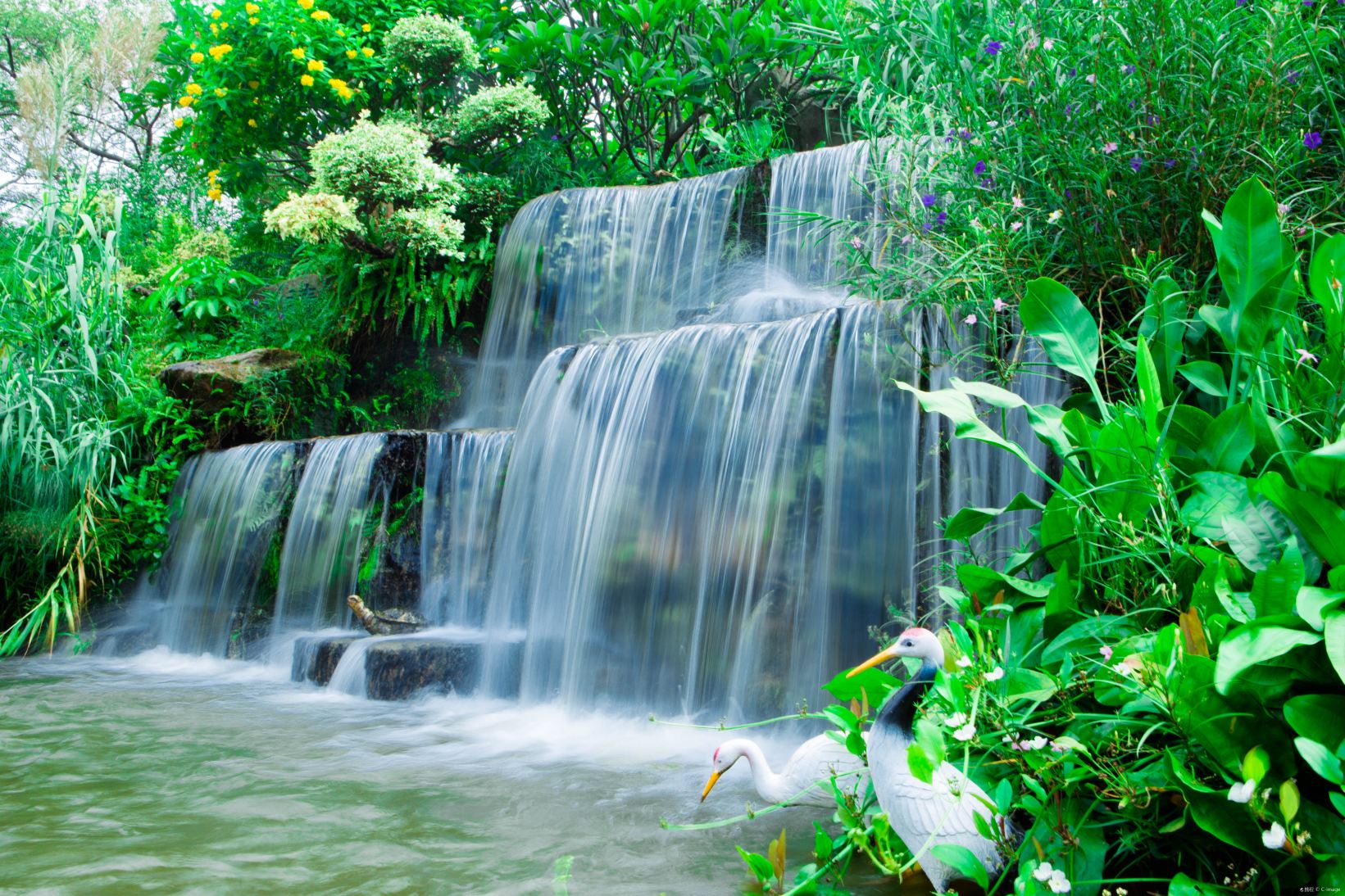 莲花山景点图片 17