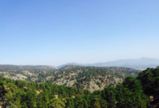 Christy's Ben Nevis美食图片