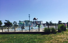 Tanner Park Beach Hut餐厅图片