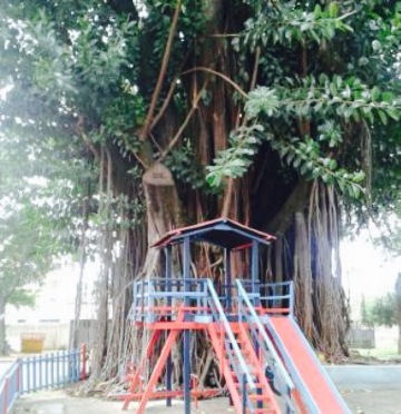 Cafe Cobogo餐厅图片