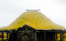 the Viking Cafe