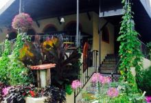 Taco Loco Mexican Restaurant, Catering & Food Trucks购物图片