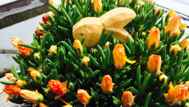 Auberge du Col de Soud餐厅图片