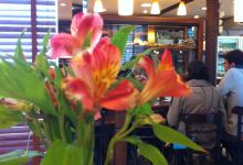 O Padeiro de Sevilha美食图片