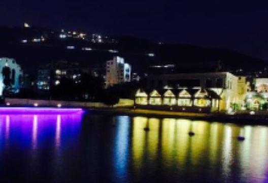 Table Fine美食图片