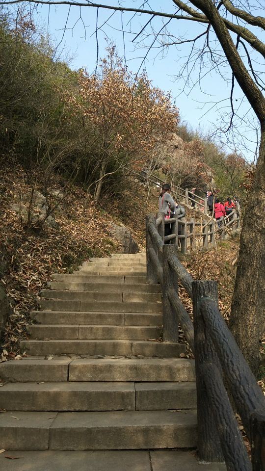 Dayangshan National Forest Park