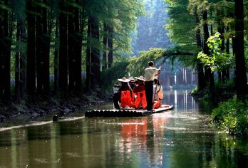 兴化李中水上森林公园+千垛景区一日游【赠送午餐12菜1汤】【午餐“千垛特色水乡宴”12菜1汤】