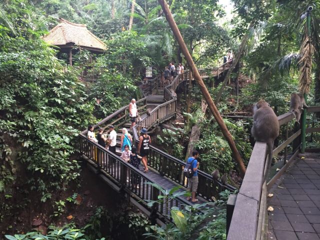 Ubud Monkey Forest