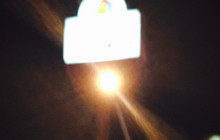 Rooster's Restaurant & Bar餐厅图片