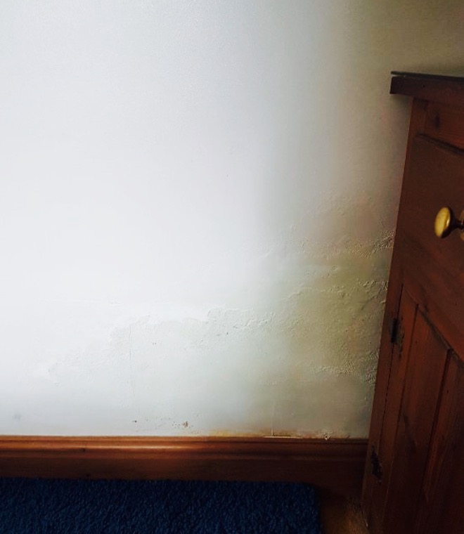 The Golden Boar餐厅图片