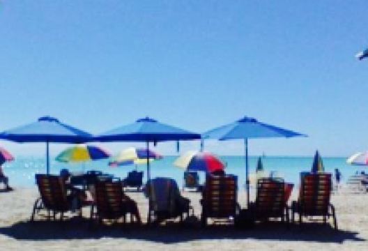 Sandra's Beach shop Bar and Grill美食图片