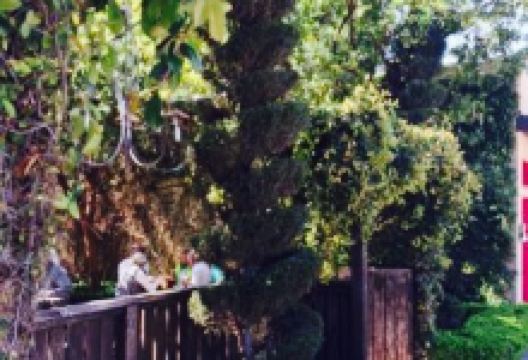 Papa Lennon's美食图片