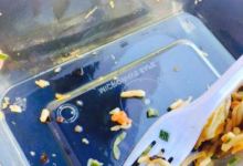 Oncle Sam美食图片