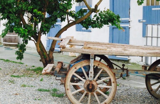 Agriturismo Parié -  l'Agripiadineria