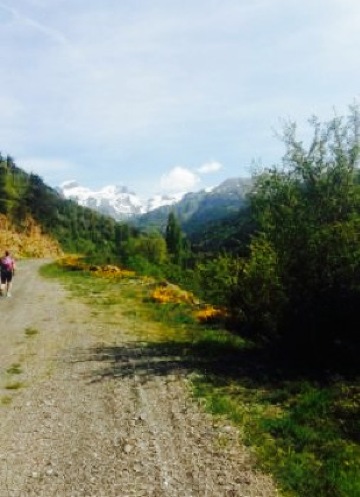 Restaurante Hostal Igüer餐厅图片