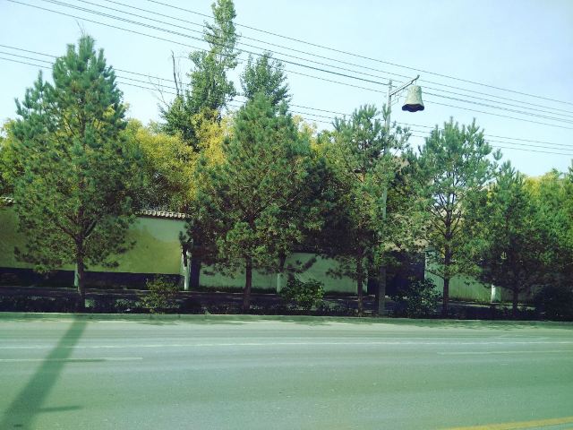 敦煌妙街旅行图片 3