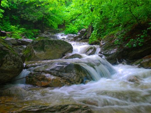 秦岭大坝沟景区