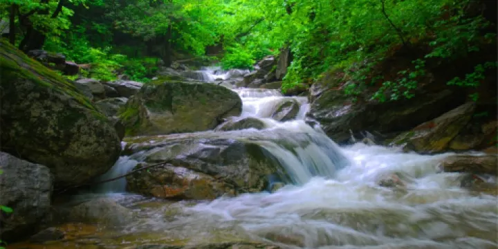 秦嶺大壩溝景區
