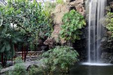 天津热带植物观光园-天津-doris圈圈