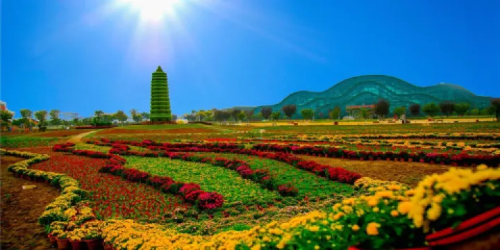 涇河智慧農業園